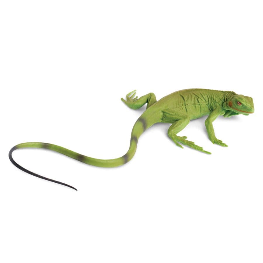 Jellycat iguana best sale