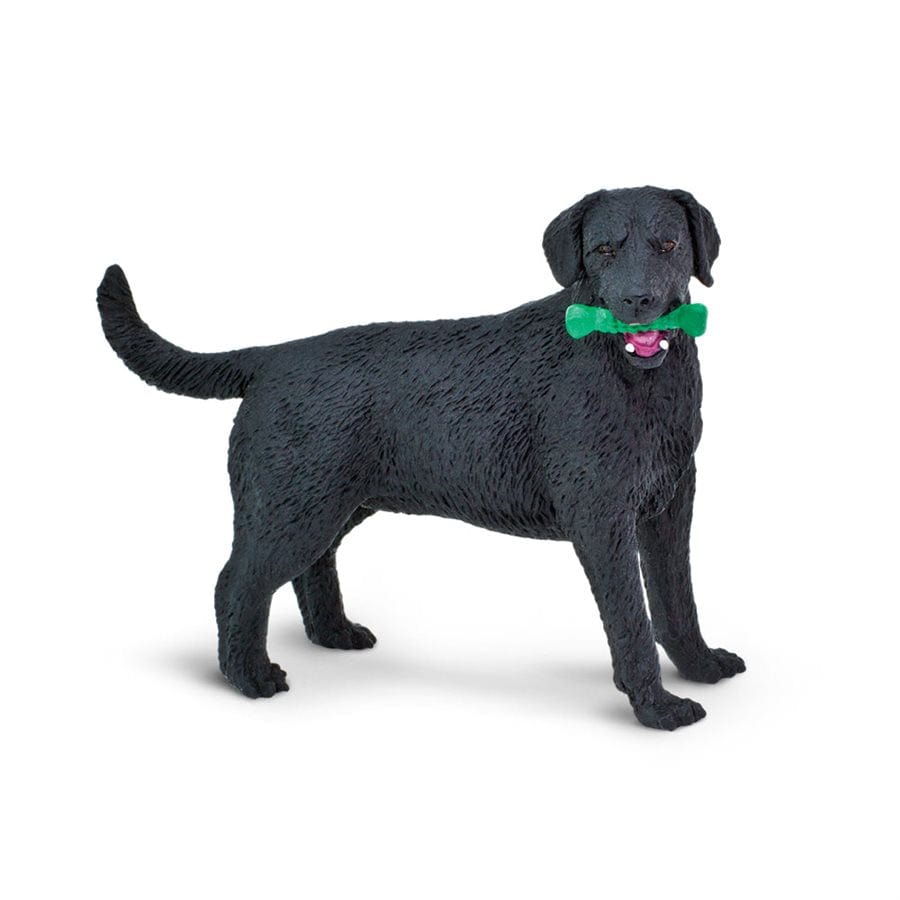 http://www.liltulips.com/cdn/shop/products/black-labrador-toy-safari-ltd-lil-tulips-7682502590582.jpg?v=1656805643