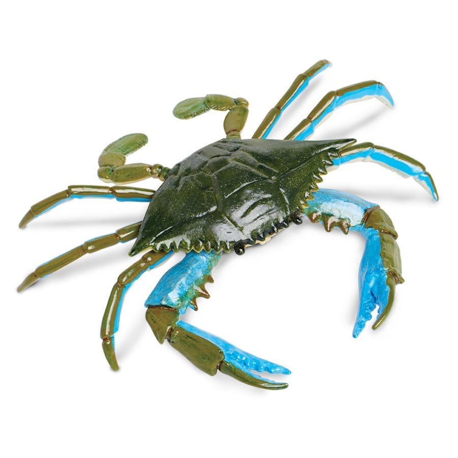 http://www.liltulips.com/cdn/shop/products/blue-crab-toy-safari-ltd-lil-tulips-8226281619574.jpg?v=1656811956