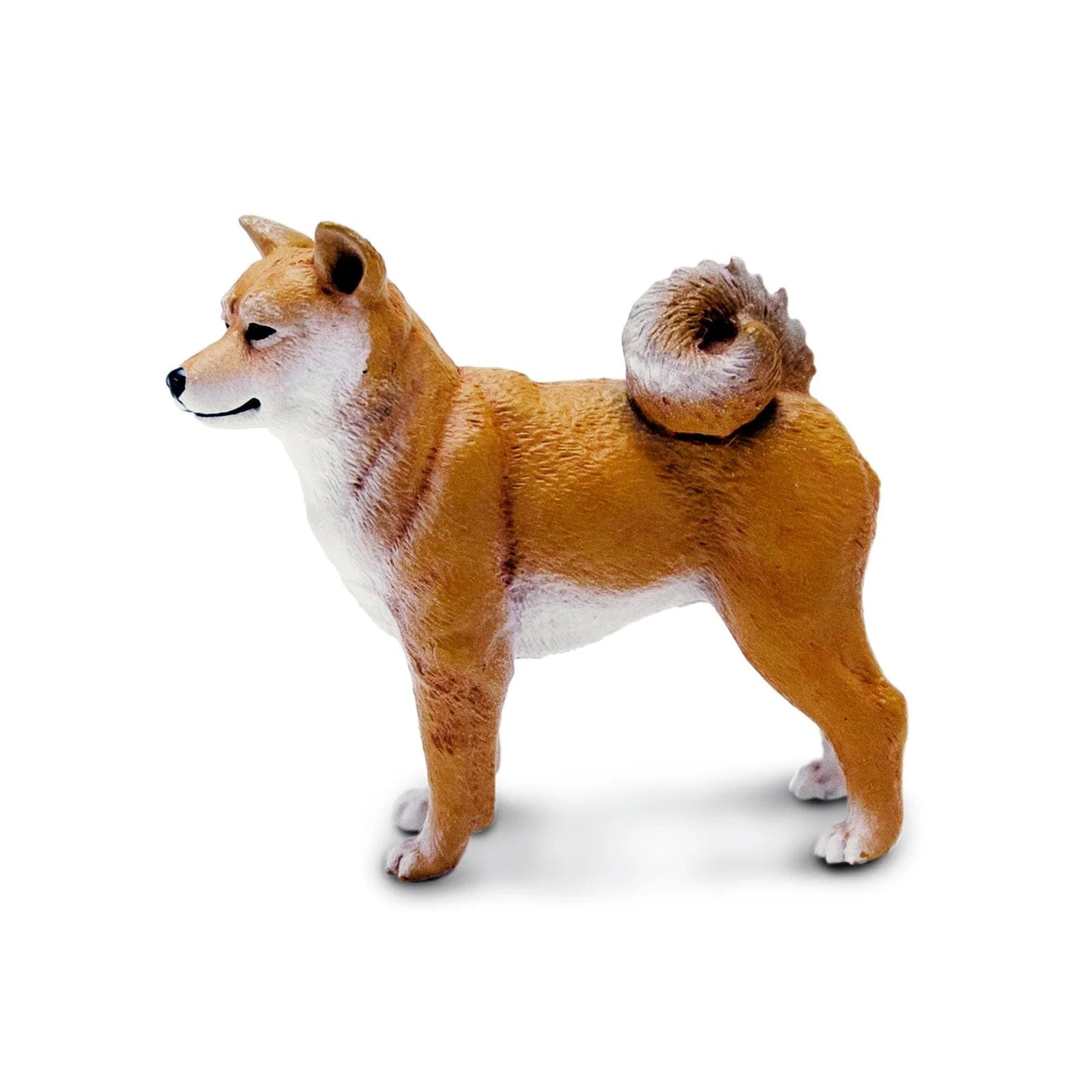 Toy shiba 2025 inu puppy