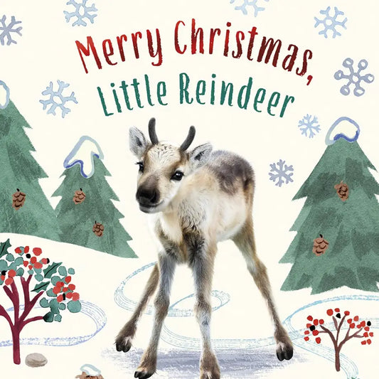 Merry Christmas, Little Reindeer Board Book