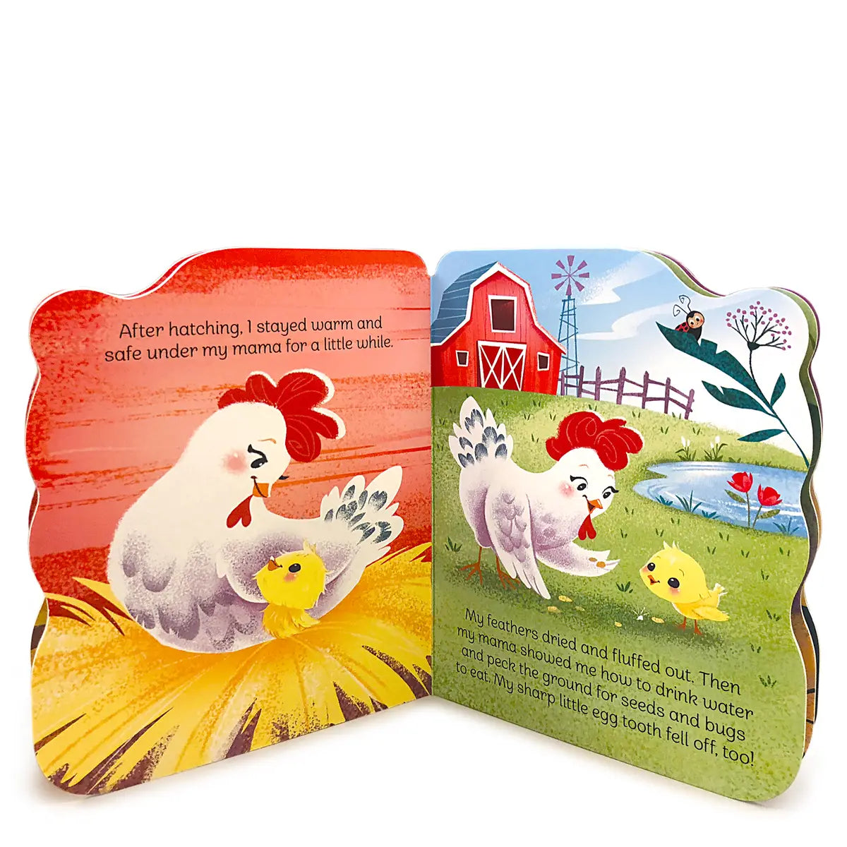 A Little Chick Shaped Board Book