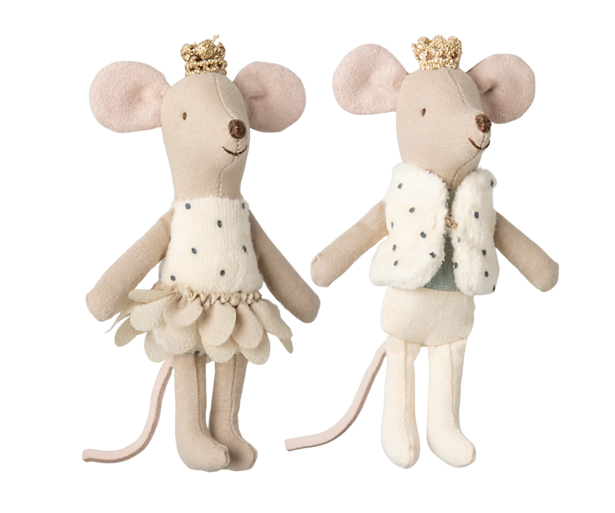 Royal twin mice, Little sister and brother in matchbox