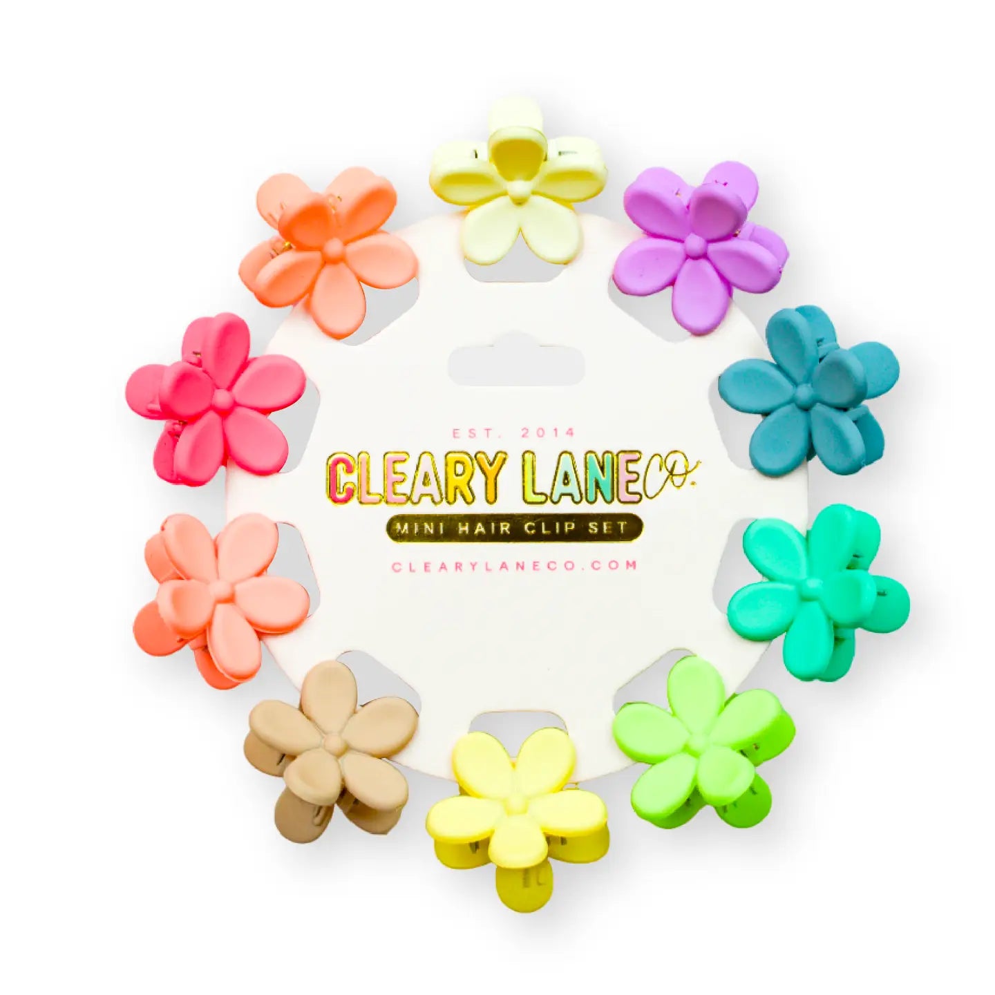 Rainbow Flowers Mini Hair Clip Set (Brown and Turquoise)