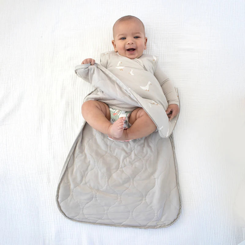 Goose Sleep Bag 1.0 Tog