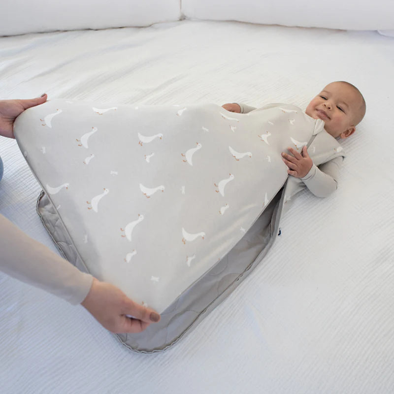 Goose Sleep Bag 1.0 Tog