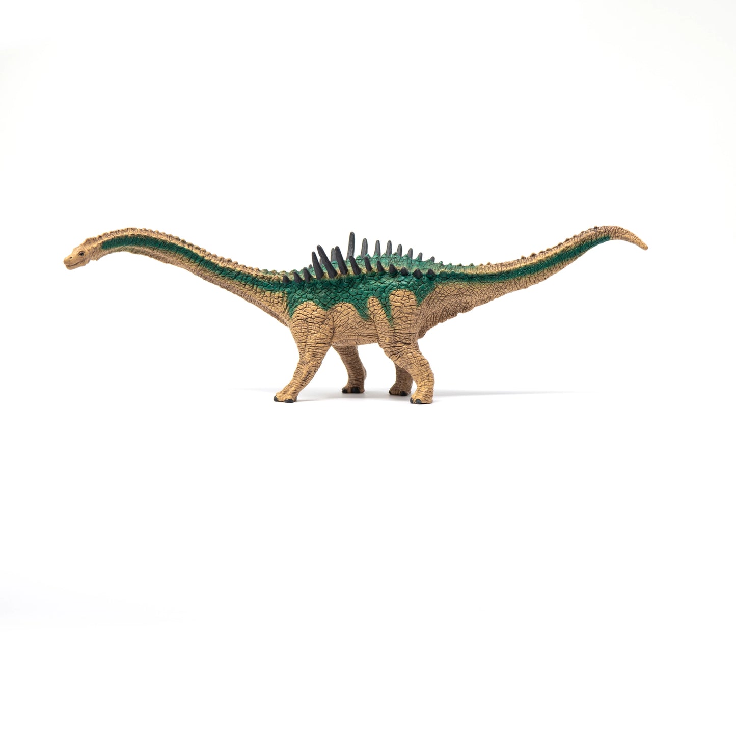 Agustinia Realistic Dinosaur Toy