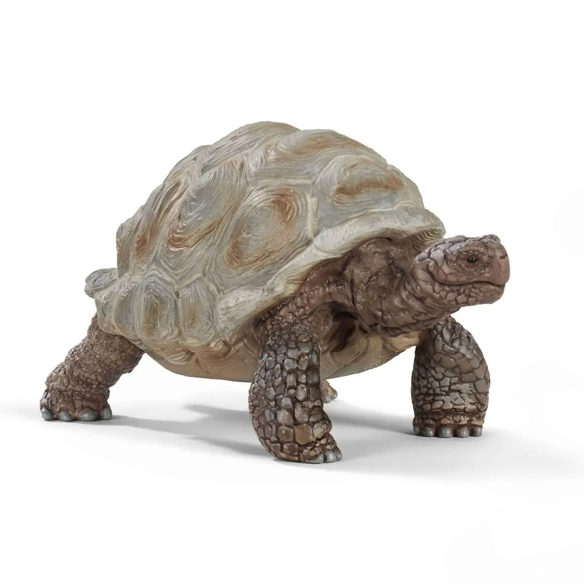 Giant Tortoise Animal Toy