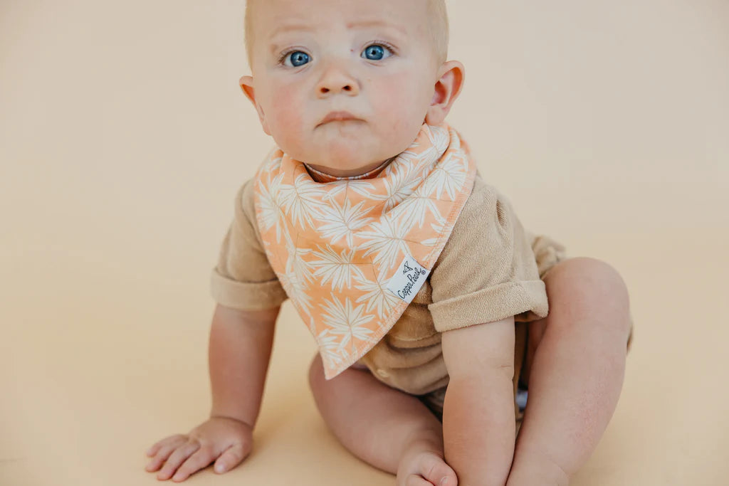 Tide Bandana Bibs