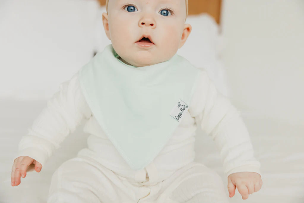 Lucky Baby Bandana Bibs