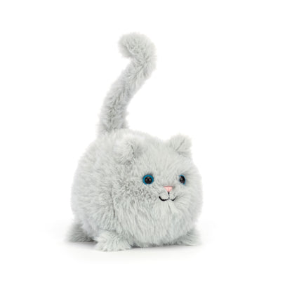 Kitten Caboodle Grey