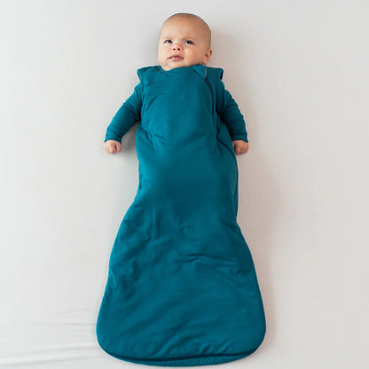 Sleep Bag in Loch 2.5