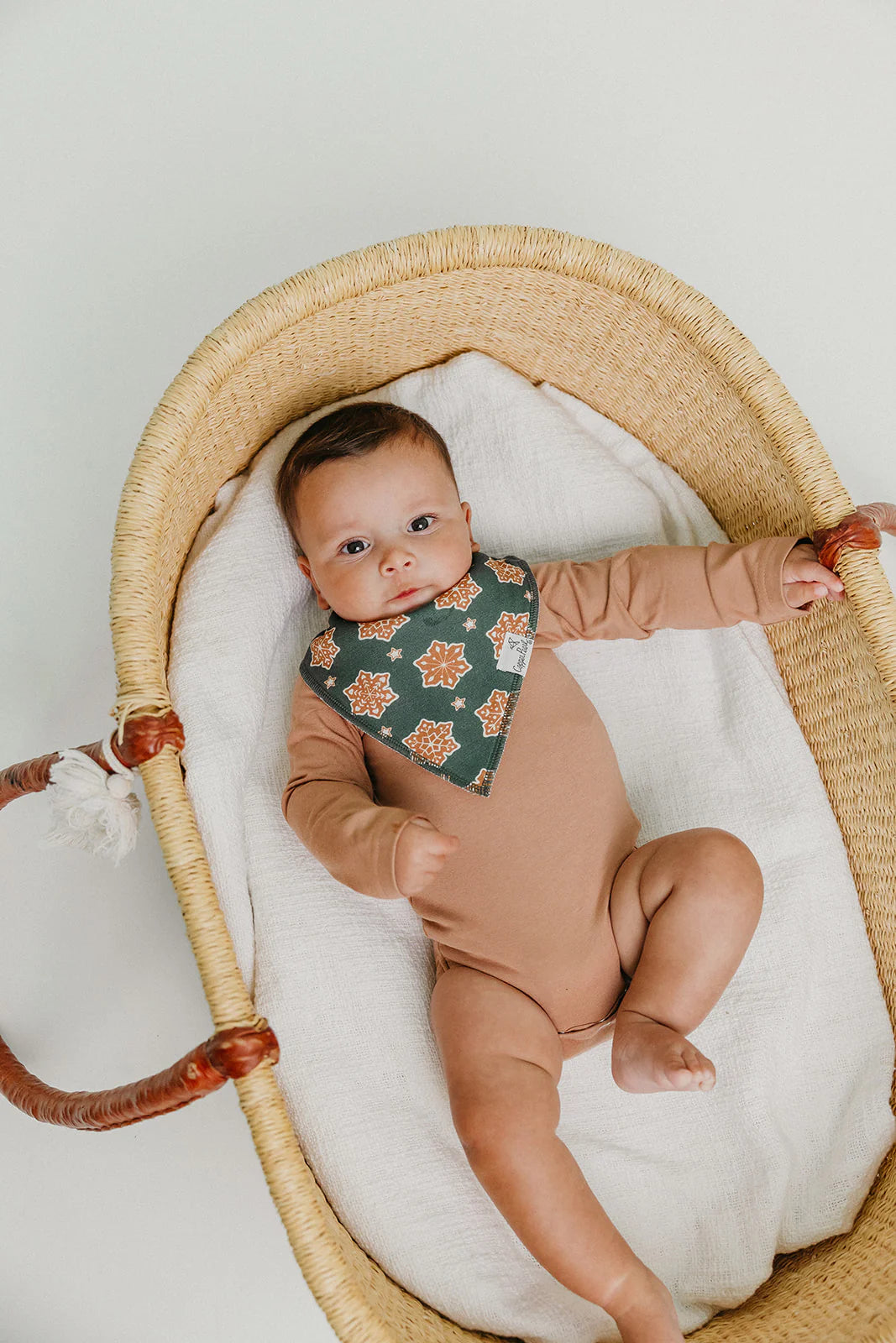 Gingerbread Bandana Bib Set