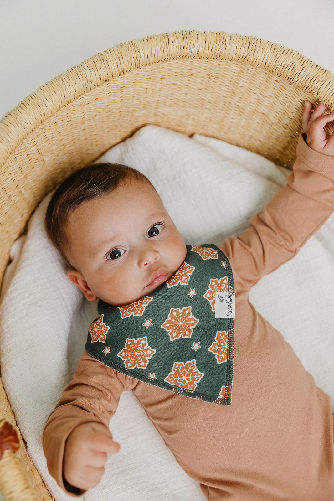 Gingerbread Bandana Bib Set