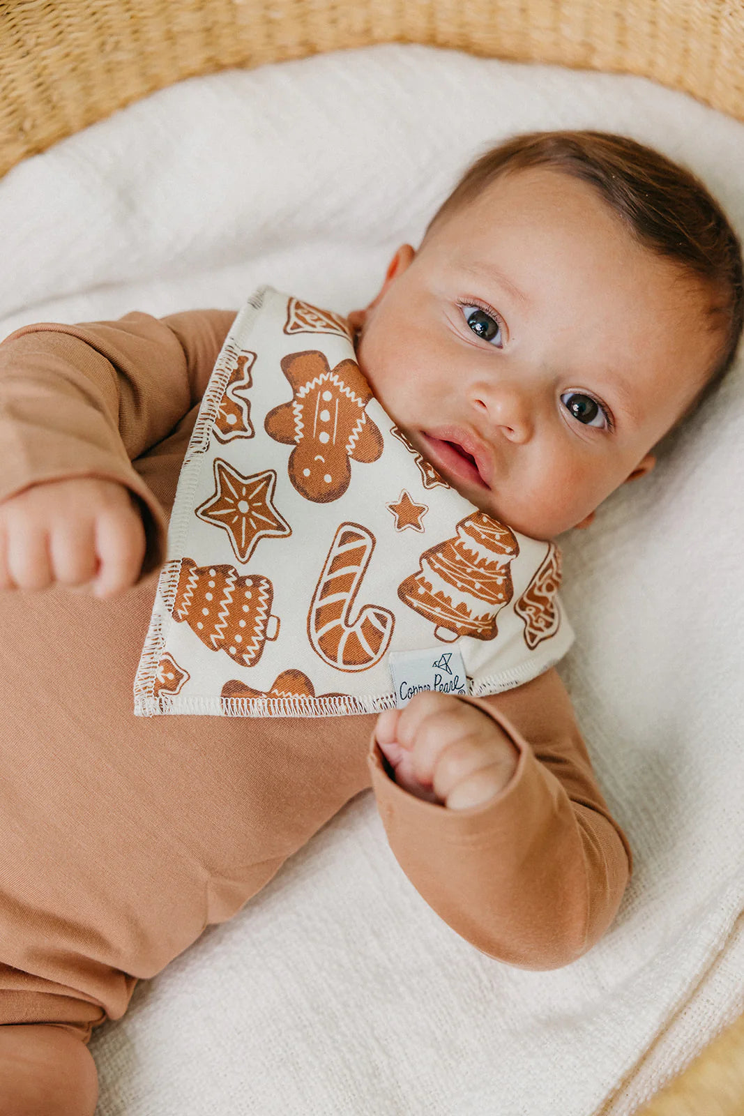 Gingerbread Bandana Bib Set