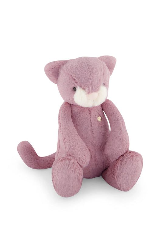 Elsie the Kitty - Lilium 30cm