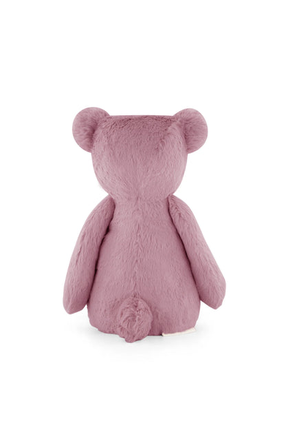 George the Bear - Lilium 30cm