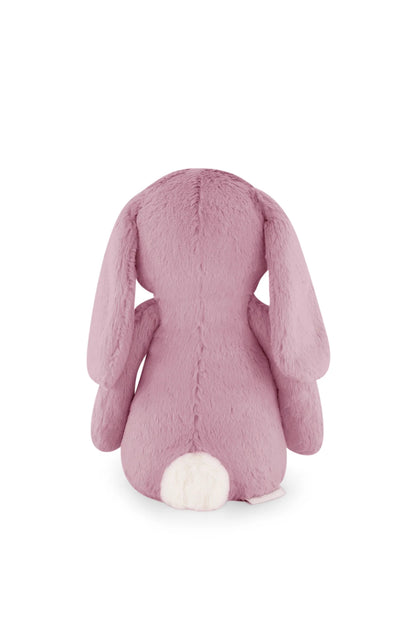 Penelope the Bunny - Lilium 30cm