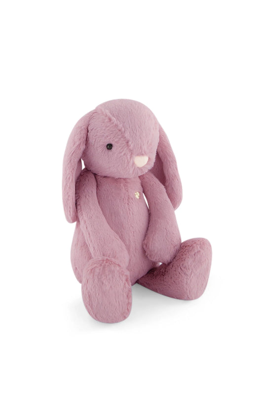 Penelope the Bunny - Lilium 30cm