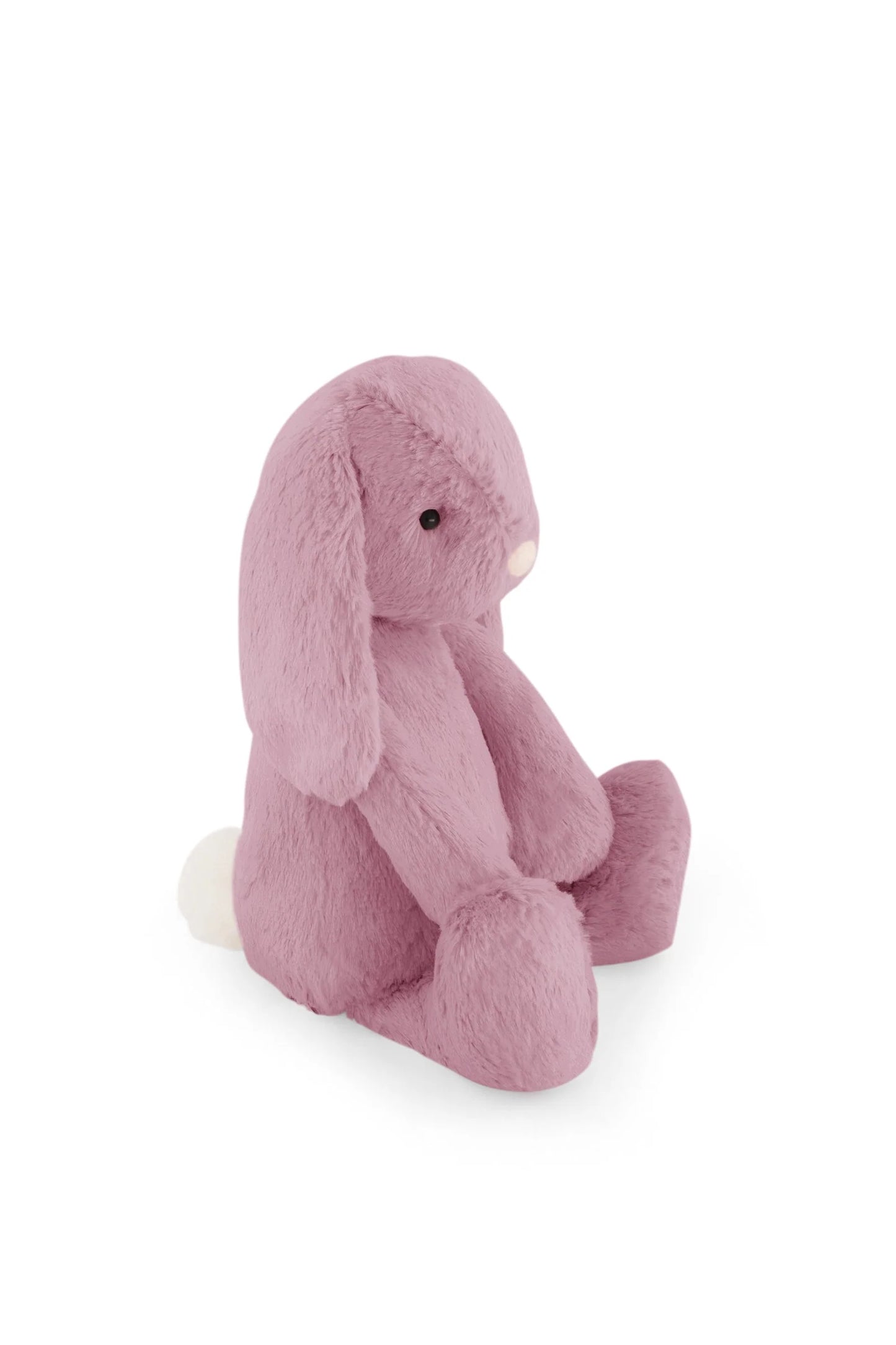 Penelope the Bunny - Lilium 30cm