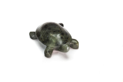 Turtle Soapstone Carving Kit