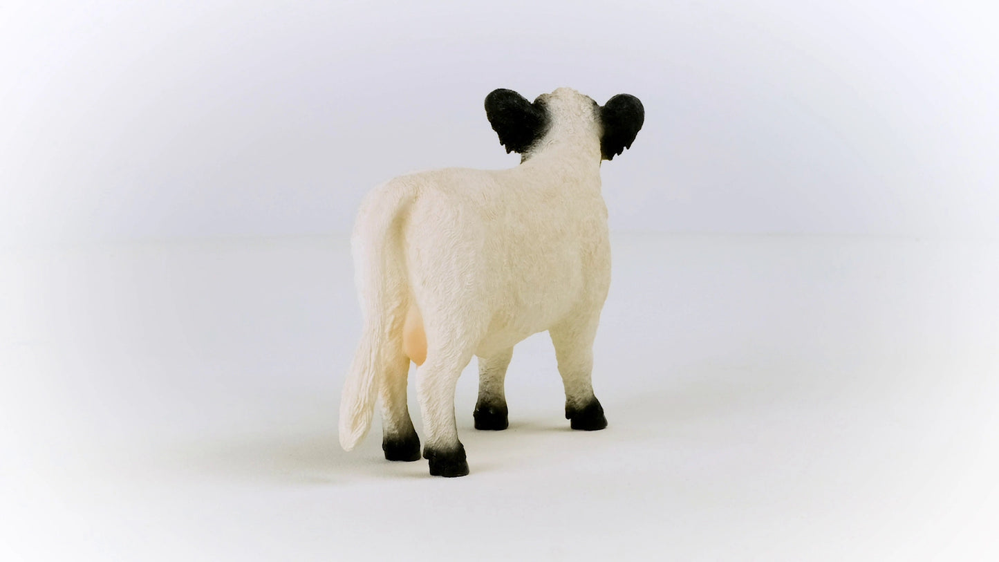 Galloway Cattle Farm Toy