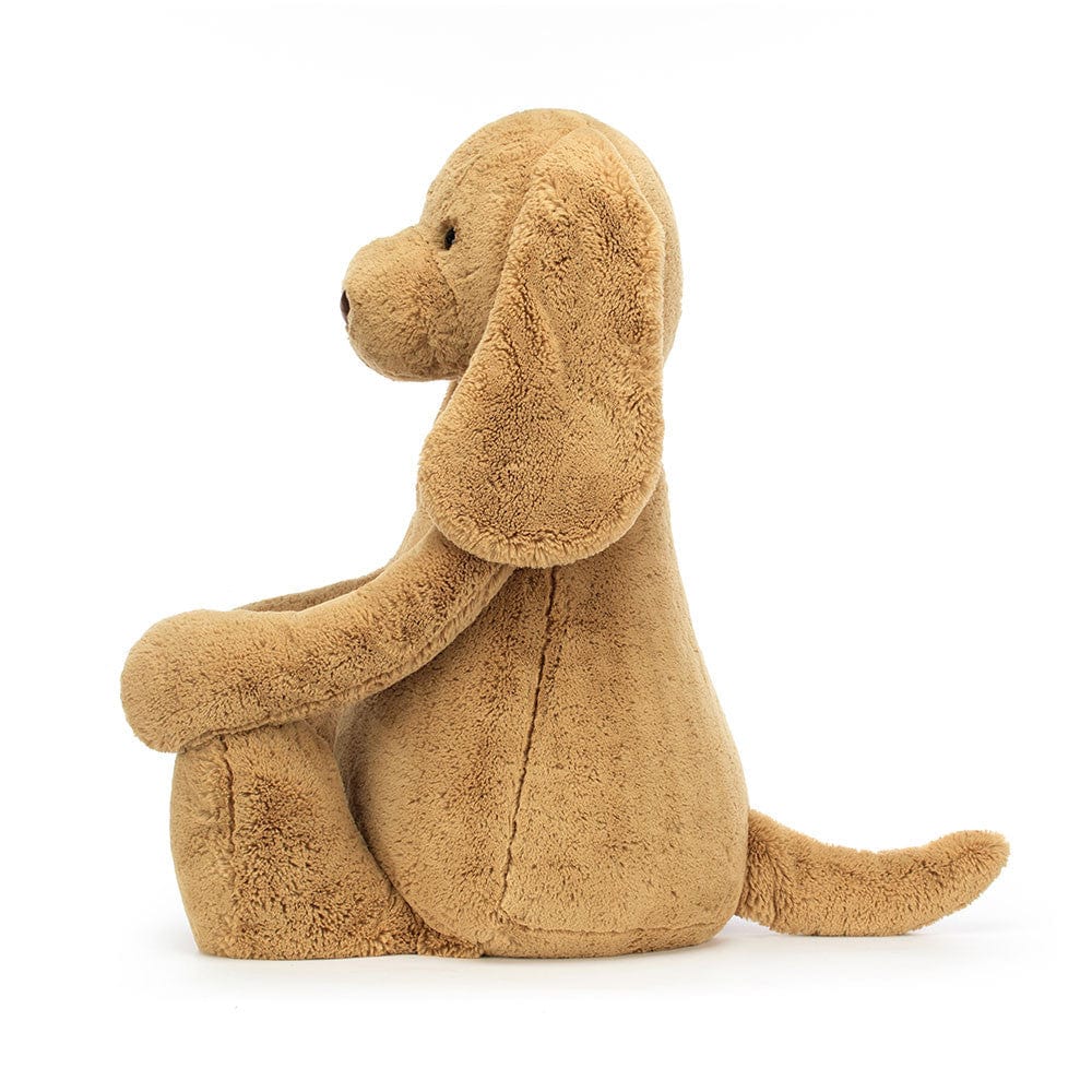 Bashful Toffee Puppy Giant JellyCat Lil Tulips