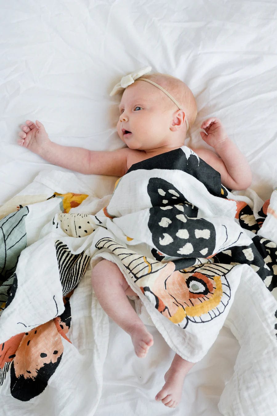 Butterfly Collector Swaddle Clementine Kids Baby & Toddler Lil Tulips