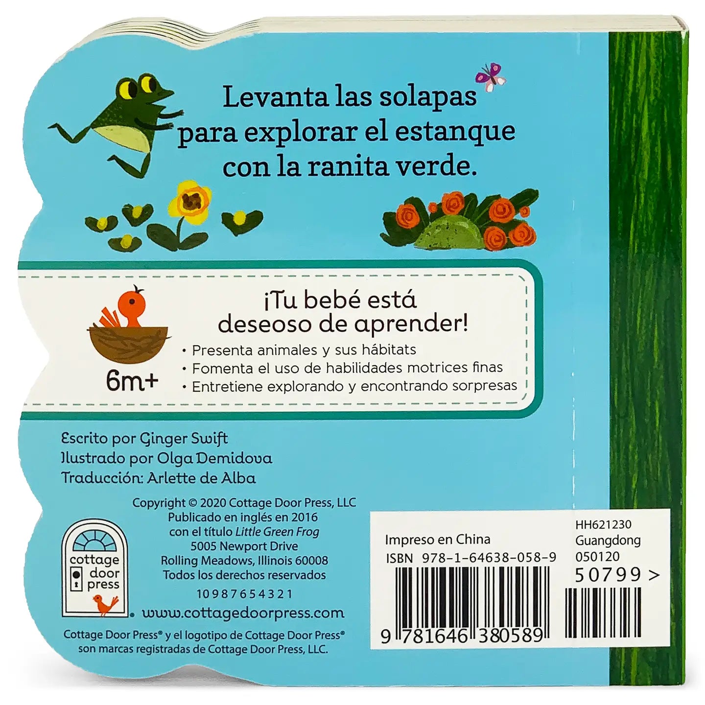 La Ranita Verde / Little Green Frog (Spanish Edition)