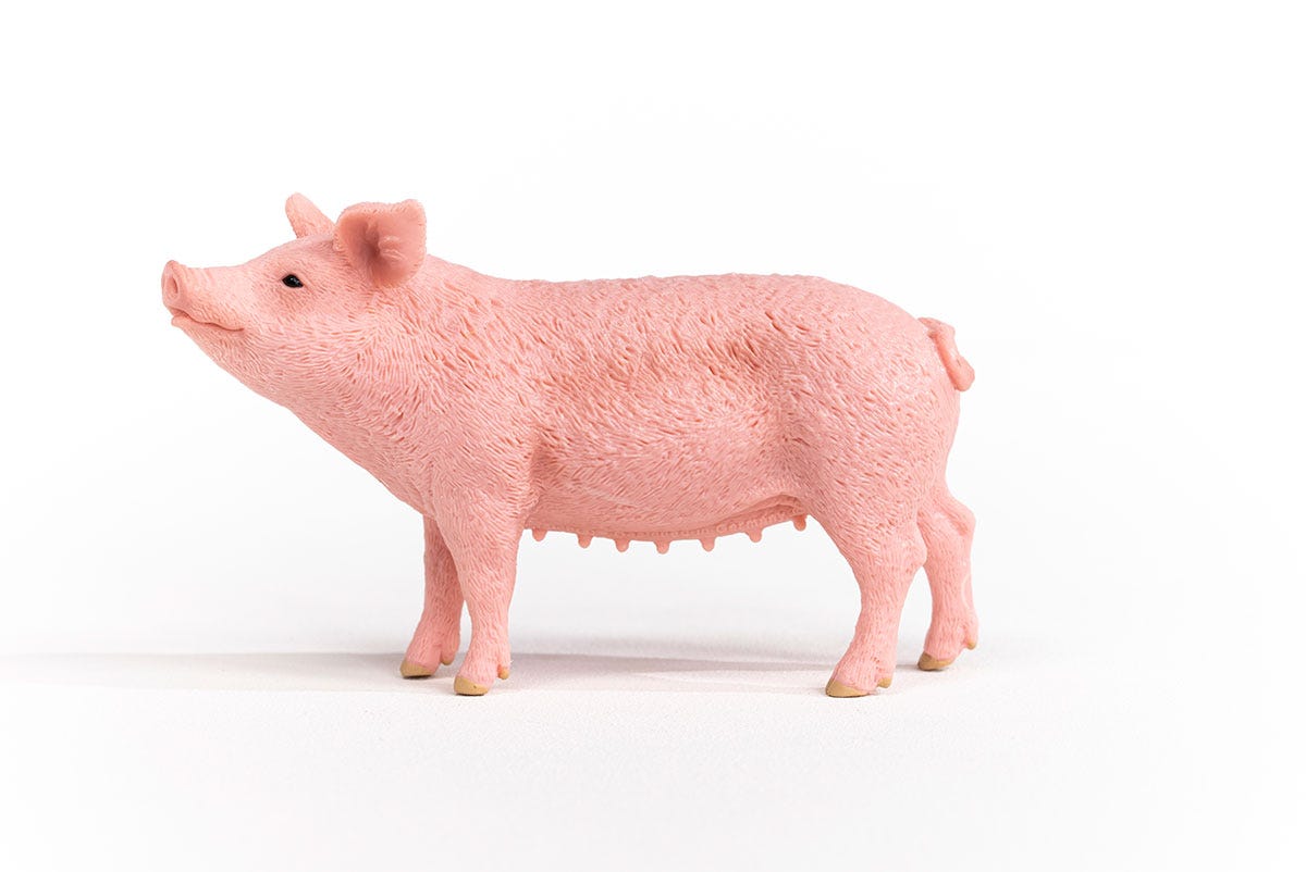 Pig Farm Animal Toy