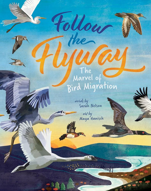 Follow the Flyway: The Marvel of Bird Migration Barefoot Books Books Lil Tulips