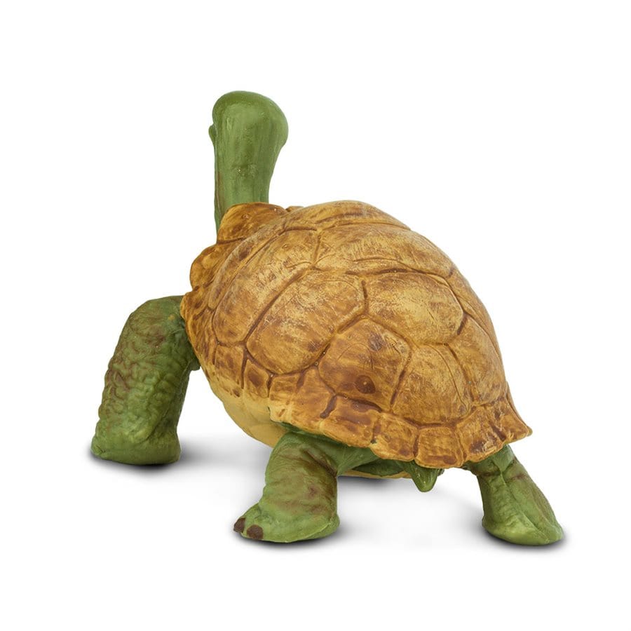 Giant Tortoise Toy Safari Ltd Lil Tulips