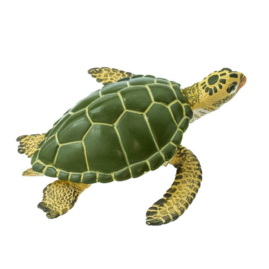 Green Sea Turtle Toy Safari Ltd Lil Tulips