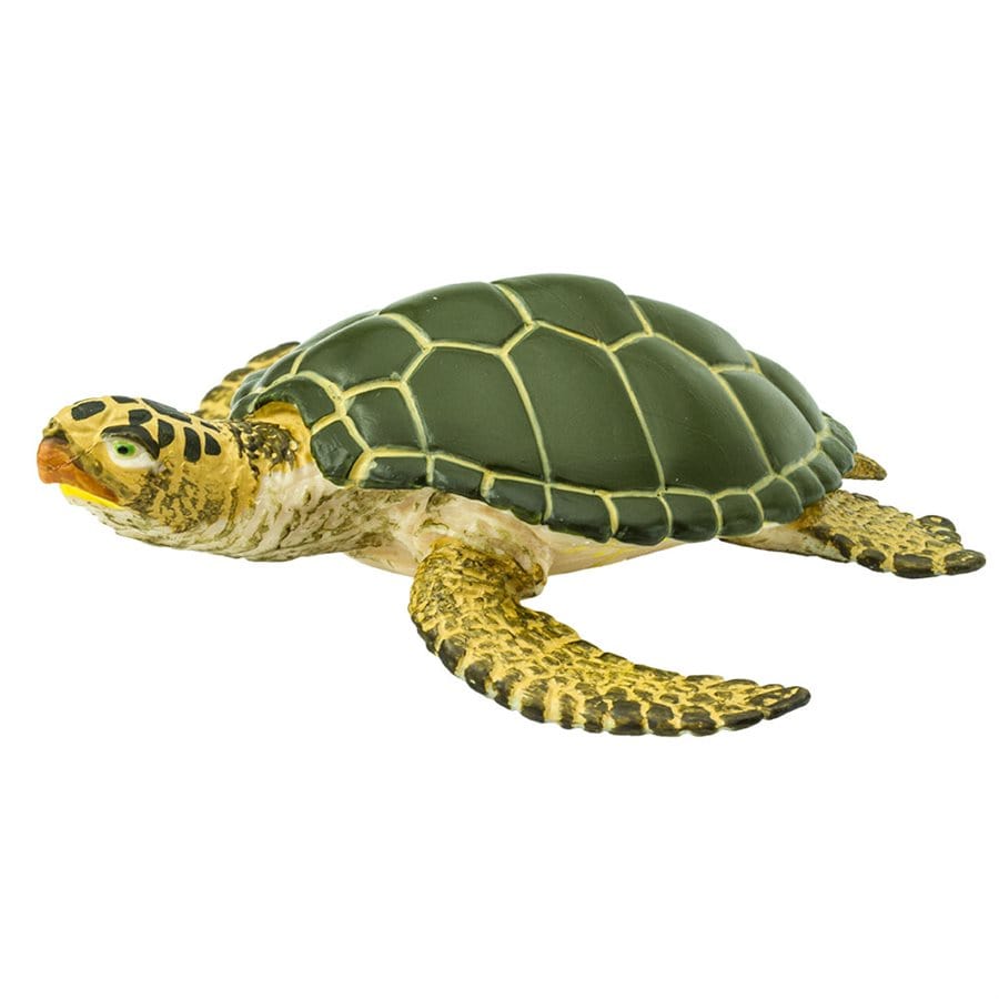 Green Sea Turtle Toy Safari Ltd Lil Tulips