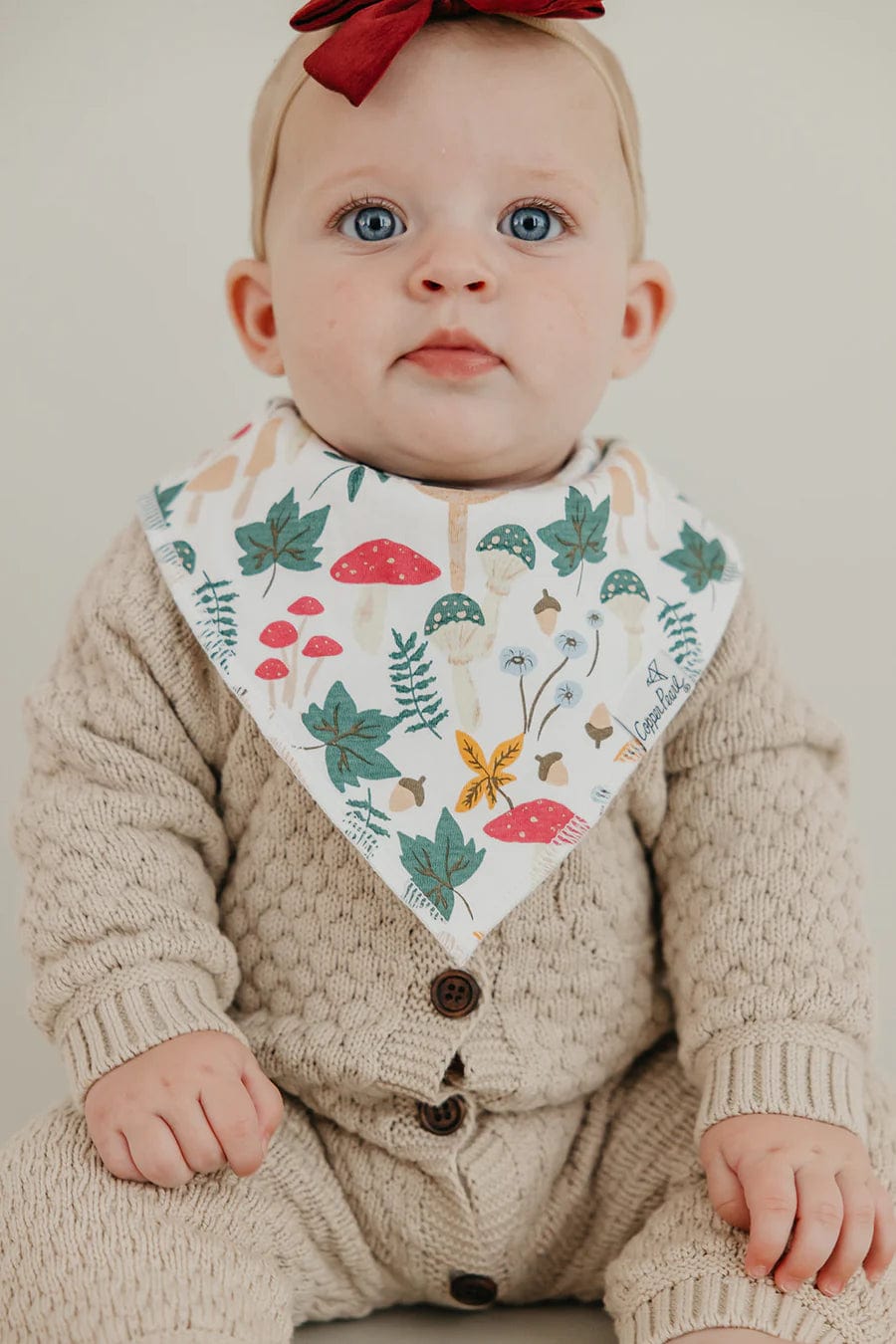 Ivy Bandana Bib Set Copper Pearl Lil Tulips