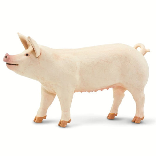 Large White Pig Toy Safari Ltd Lil Tulips