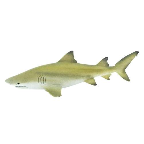 Lemon Shark Toy Safari Ltd Lil Tulips