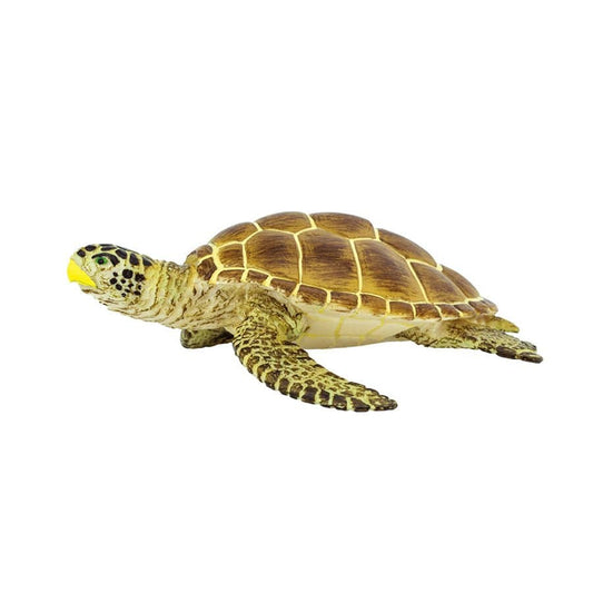 Loggerhead Turtle Toy Safari Ltd Lil Tulips