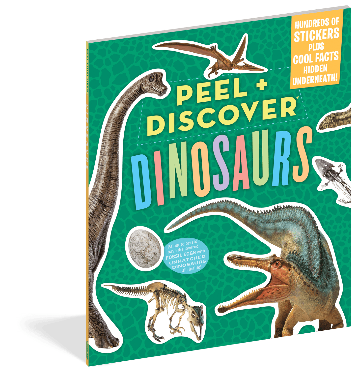 Peel + Discover: Dinosaurs Workman Publishing Lil Tulips