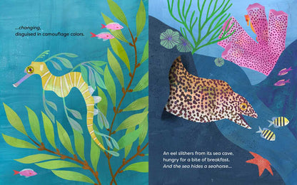 The Sea Hides A Seahorse Simon & Schuster Lil Tulips