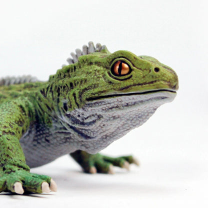 Tuatara Toy Safari Ltd Lil Tulips