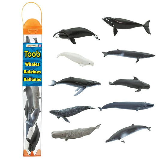 Whale Figurines TOOB® Safari Ltd Lil Tulips