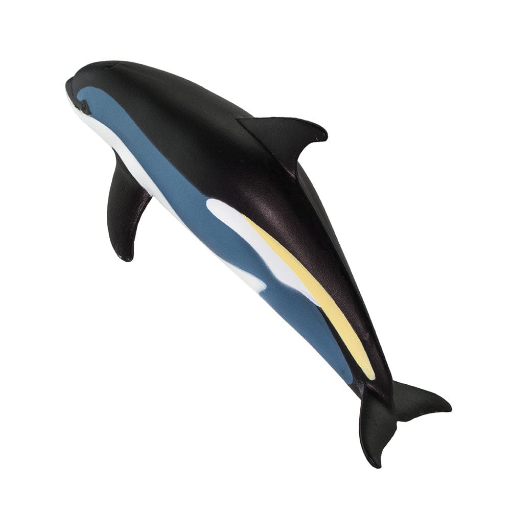 Atlantic White Sided Dolphin Toy Safari Ltd Lil Tulips