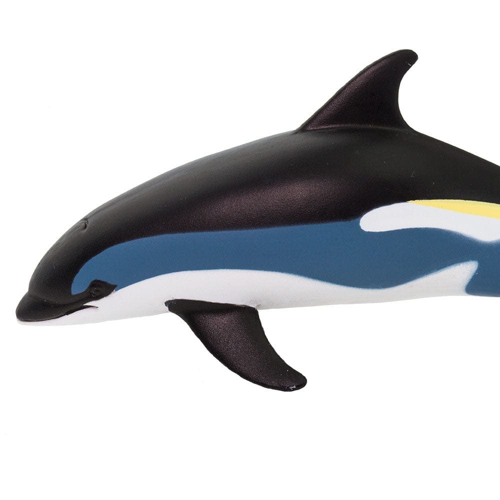 Atlantic White Sided Dolphin Toy Safari Ltd Lil Tulips