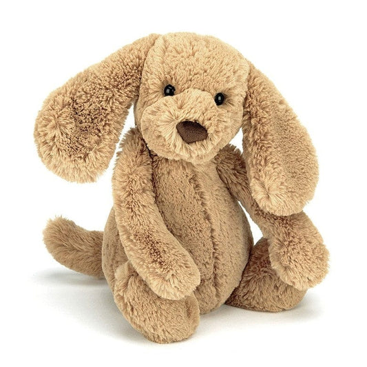 Bashful Toffee Puppy Medium JellyCat Lil Tulips