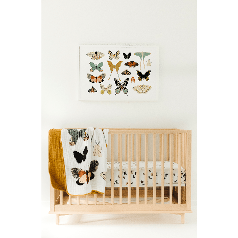 Butterfly Collector Quilt Clementine Kids Lil Tulips