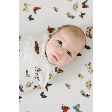 Butterfly Migration Crib Sheet Clementine Kids Lil Tulips