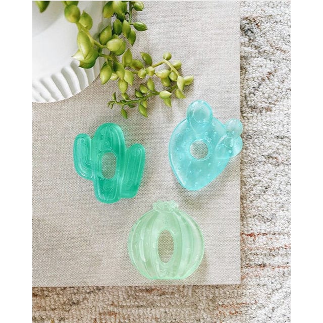 Cactus Cutie Coolers™ Water Filled Teethers (3-pack) Itzy Ritzy Lil Tulips