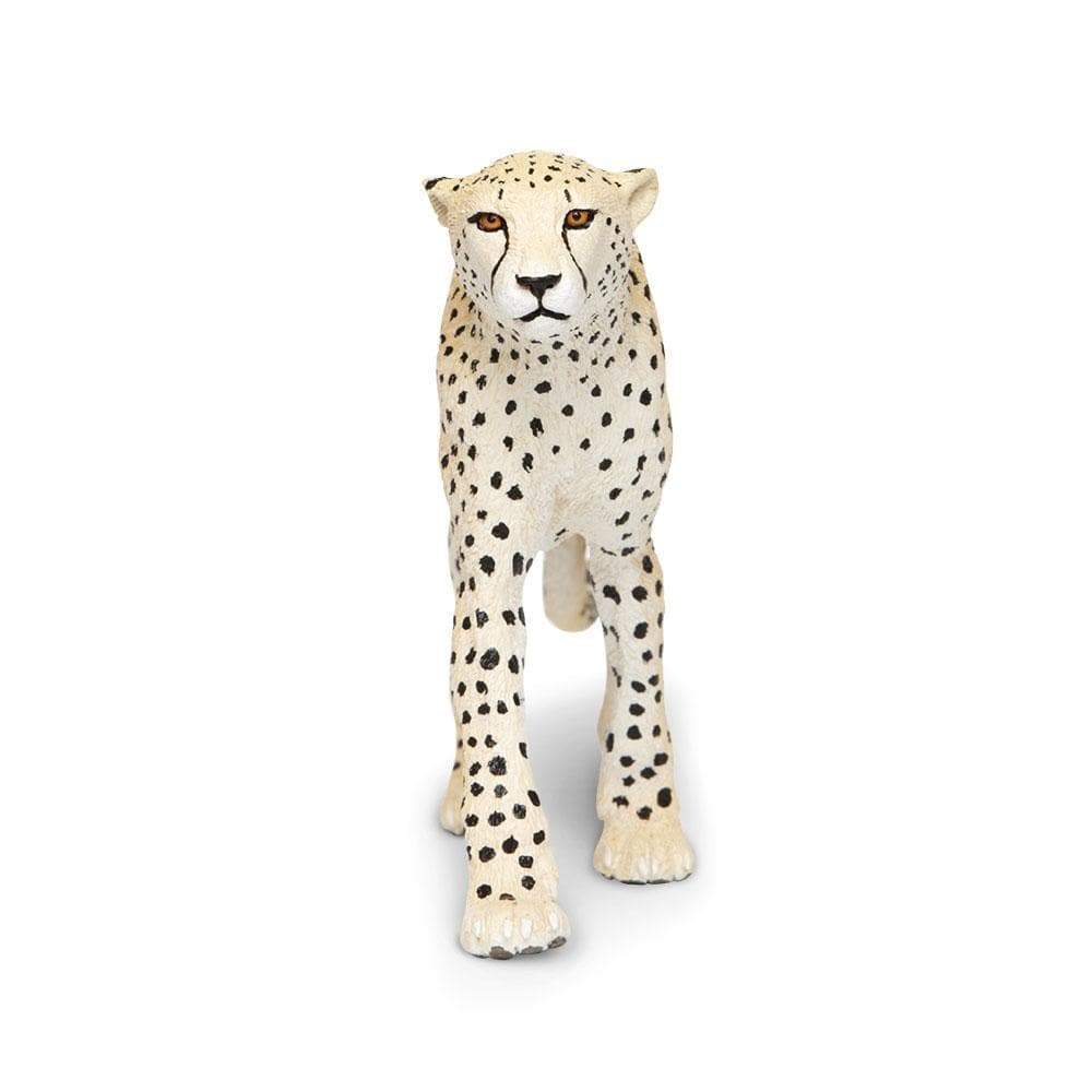 Toy cheetahs 2024