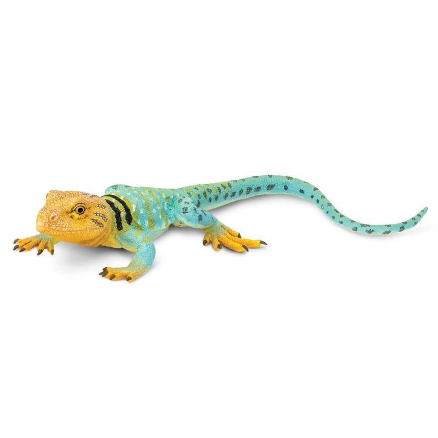 Collared Lizard Toy | Safari Ltd